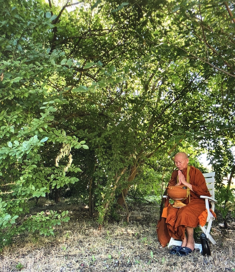 Ayya Saddha praying before her noon meal under the tree that blessed us with amrita during our stay , 2024. 