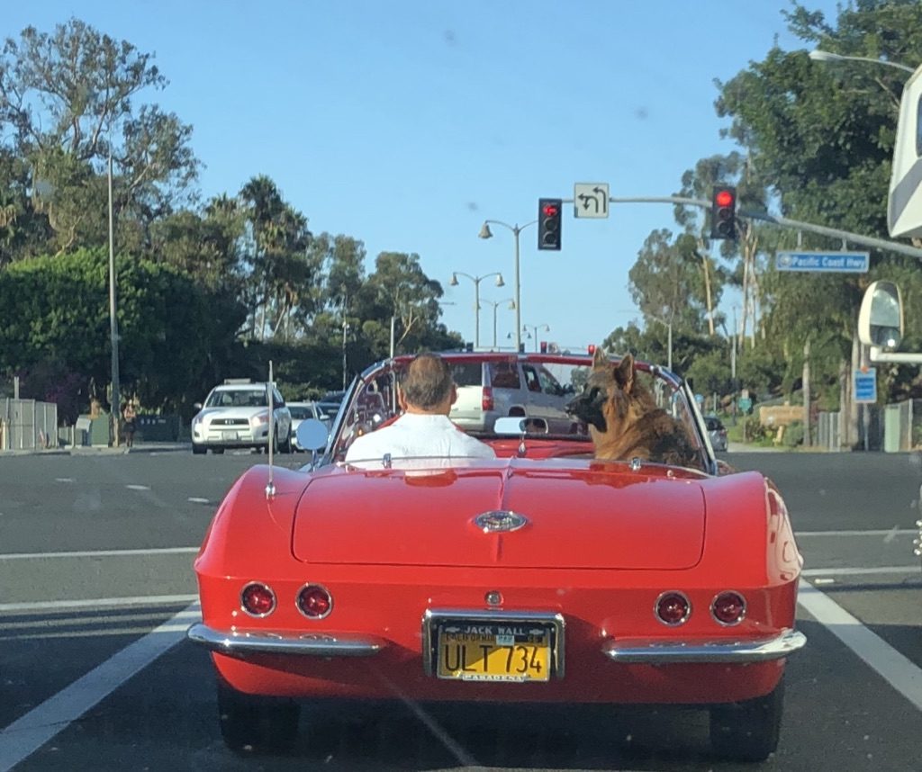 "Beautifull day for a drive, don't you think?"