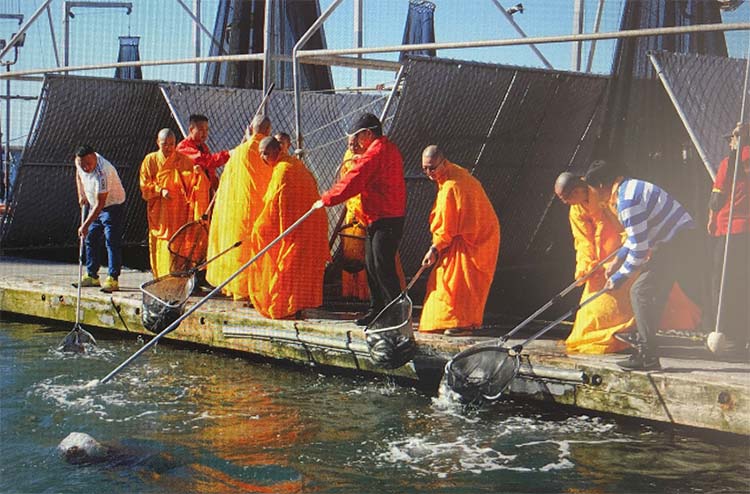 Photo Courtesy: Joyce Lee | Participants released captive fish into the ocean. 