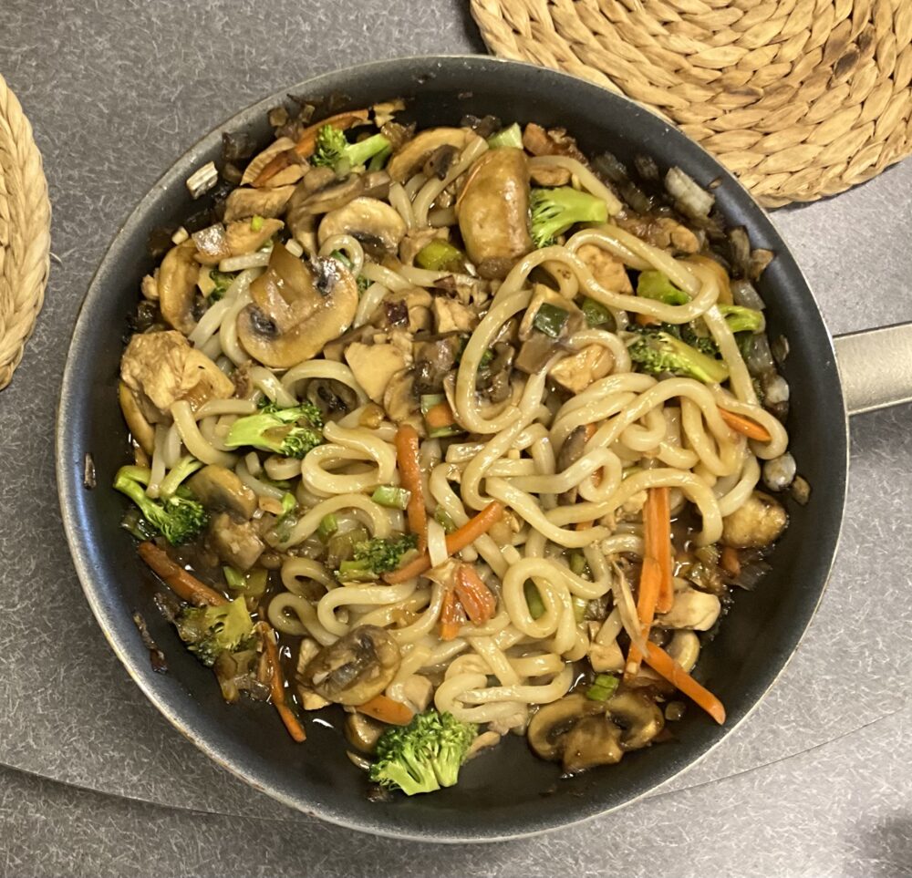 Photo of Japanese Udon Noodles.