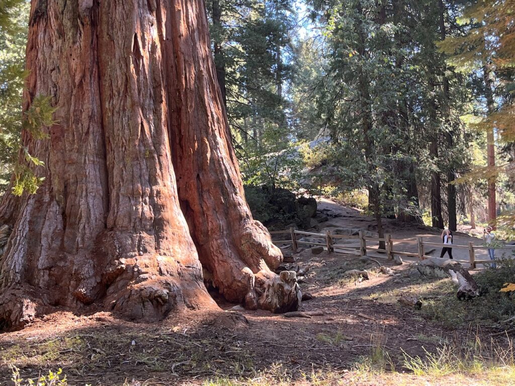 Photo of Rocks in Kings Canyon National Park.  