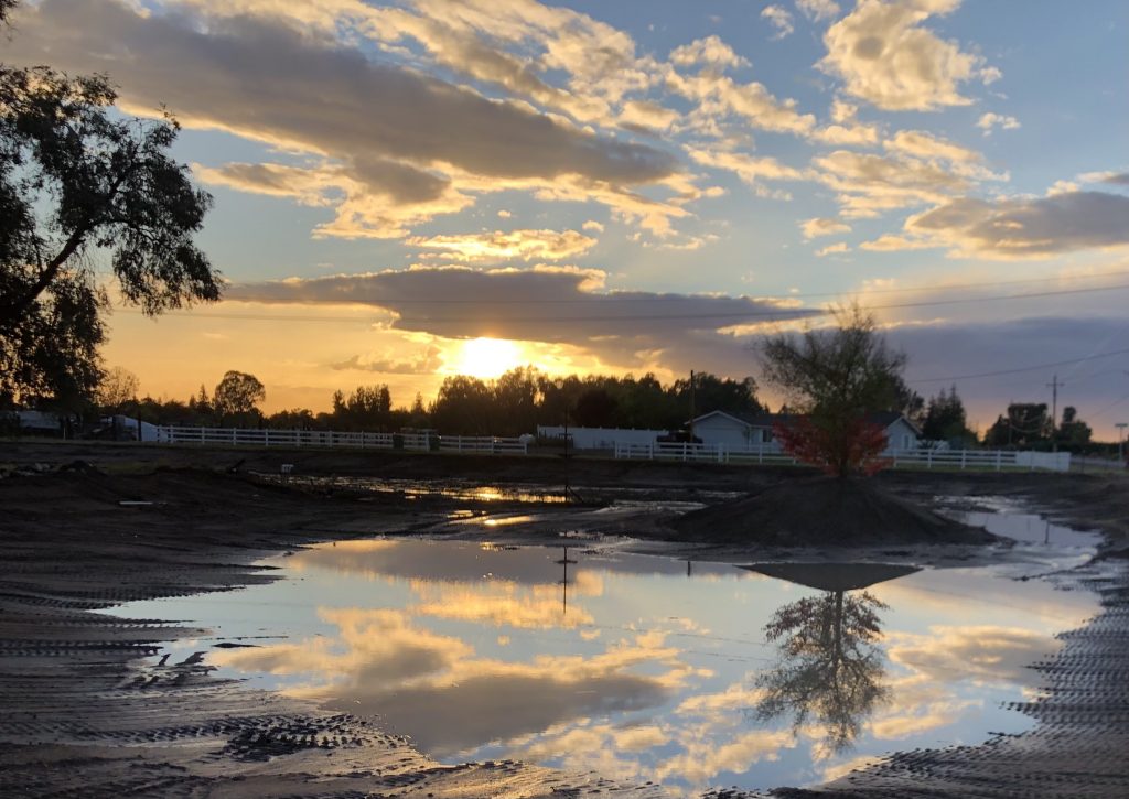 Sunset on the reclaimed pond after the big rain.