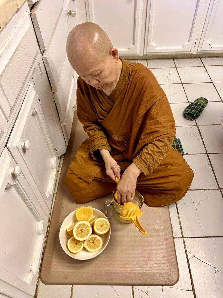 Squeezing some fresh lemons from the courtyard lemon tree while serving as a Tenzo for those on solitary retreat 2024 at the Holy Vajrasana Temple.