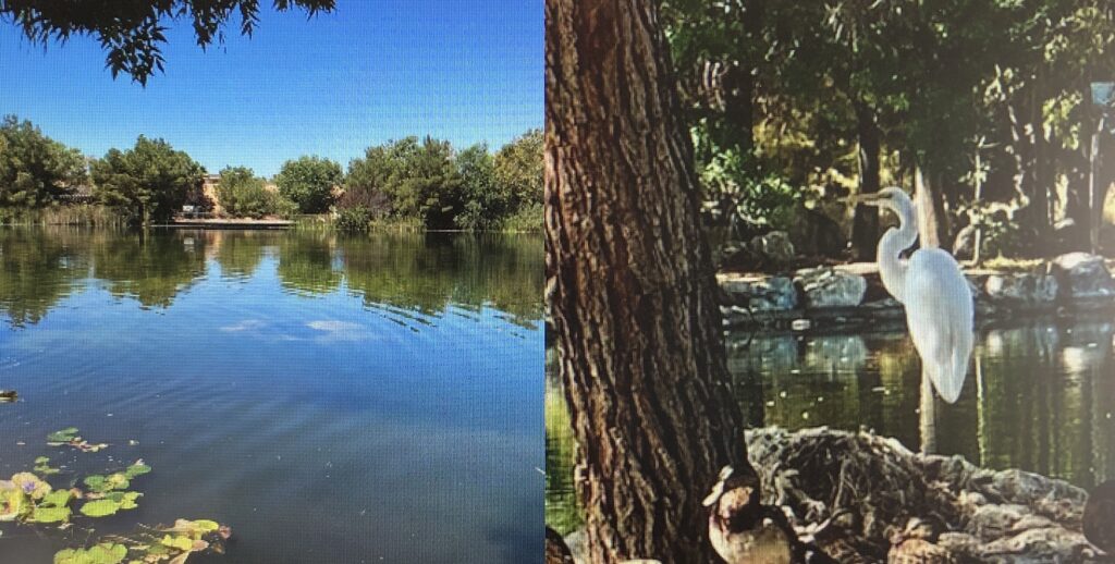 Photo of Holy Heavenly Lake, Hesperia, California.