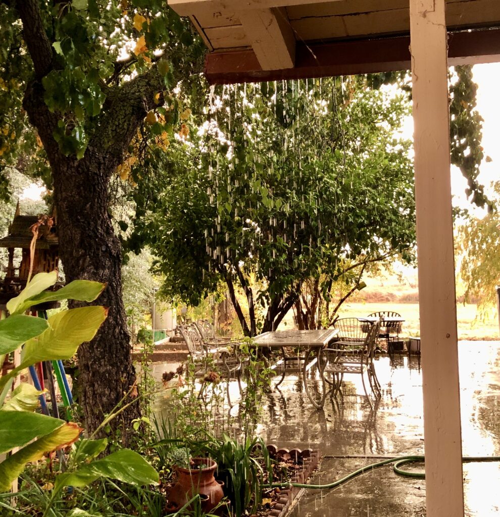 Photo of Rain from the back patio at the Holy Vajrasana temple, Sanger, California.