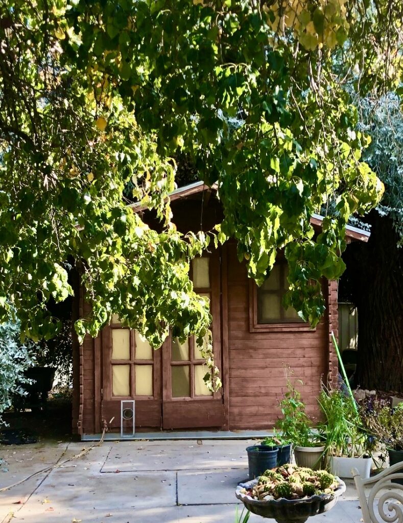 Photo of Chalet at the Holy Vajrasana Temple. 