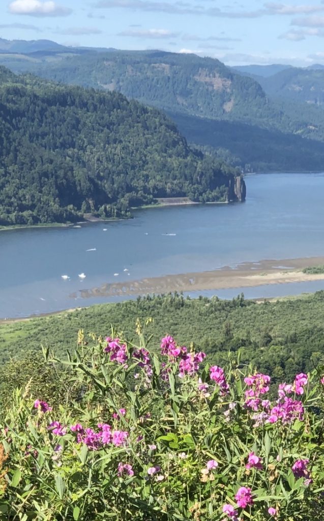 View from Vista House at Crown Point on State Scenic Corridor, Oregon State Park in the Columbia Gorge area.